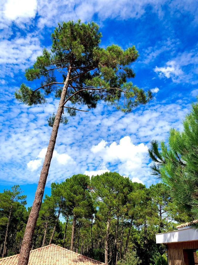 Domaine Du Ferret Restaurant & Spa Lège-Cap-Ferret Εξωτερικό φωτογραφία
