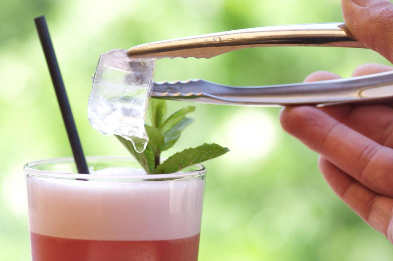 Domaine Du Ferret Restaurant & Spa Lège-Cap-Ferret Εξωτερικό φωτογραφία